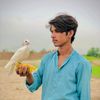 malik_haroon620