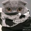 ndraa_391