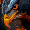 yasir.khan55741