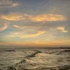 cheriiu_juv