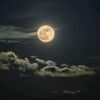 luna_llena018