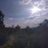 goga.shainidze7