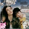 attic_floo0d