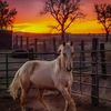 dawn.sanchez56