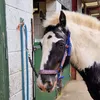 anna_and_marvin