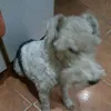 facundo9512