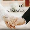 usman.ali20636