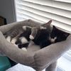 Minnie and Benji