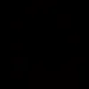 bs_dmcarry