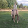 mustangara8