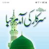 syedarshali6