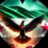 user5817617236198