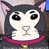 😹🙀😹el gato de Perú😹🙀😹