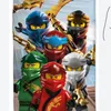 ninjagopro98