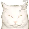 phng.2922