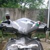 sigrayy1