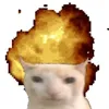 privelebbbii