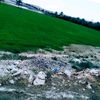abdoyhlo