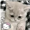 tabi4896