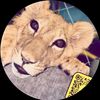 sanad.saoud7