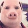 jonh.pork47