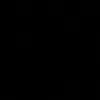 rzzt250