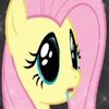 sussyderpfluttershy