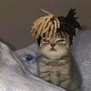 kittyboy_love_kittys126