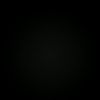 elizabeth.rodrige64
