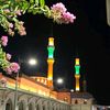 ✨SULTANÎL AŞİKÎN✨