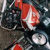 argenis839