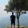 lamvu19pt