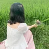sulyy_3108