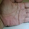 lebahhitam6