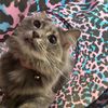 averie.widman24