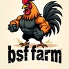 bsf farm