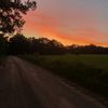 emmas_secrett1324