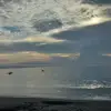 asoy_77