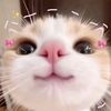 nataa_542