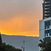 tomii12316_1