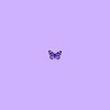 purple.onlyj