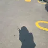 tduongdethuongnhatthegi3