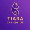 tiara_editor4