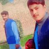 shahzadaha841gmail.com