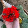 marya.batool6