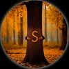 s.d.h29581