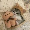meong_266