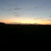 alfia_0895