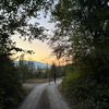 mavis_doig