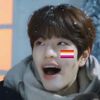 seungminsdriedupsock_